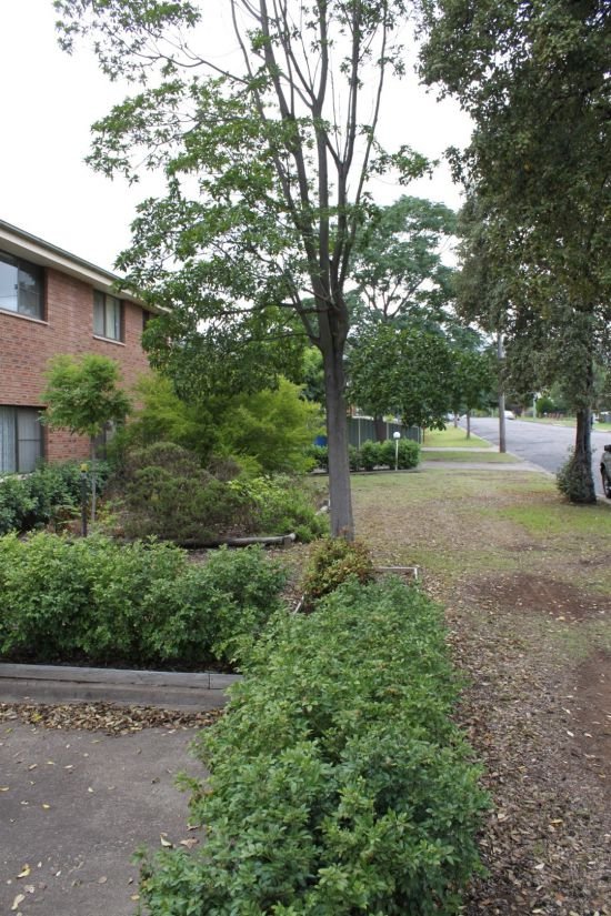 Real Estate for Sale in Scone, NSW 2337 Allhomes