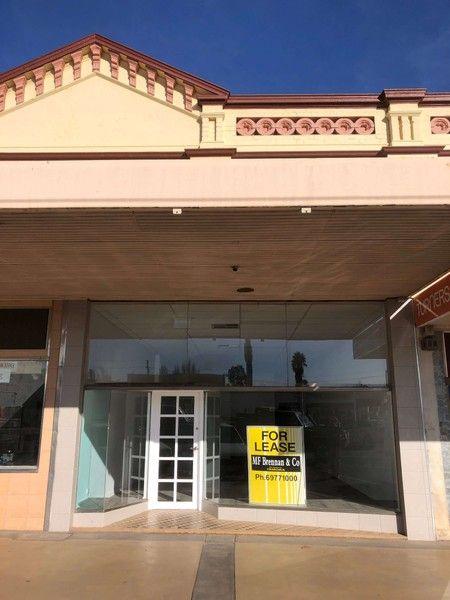 154 Hoskins Street, NSW 2666