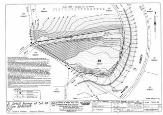 Survey 28 Martin St (Lot 25)