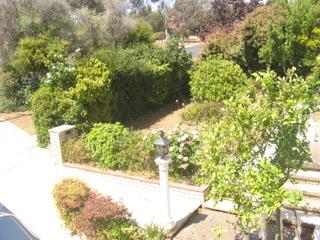 Front garden