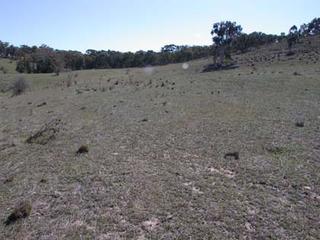 Land (2004-09-27)