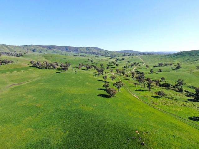 (no street name provided), NSW 2644