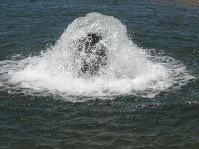 Gwydir Bore Water, NSW 2400