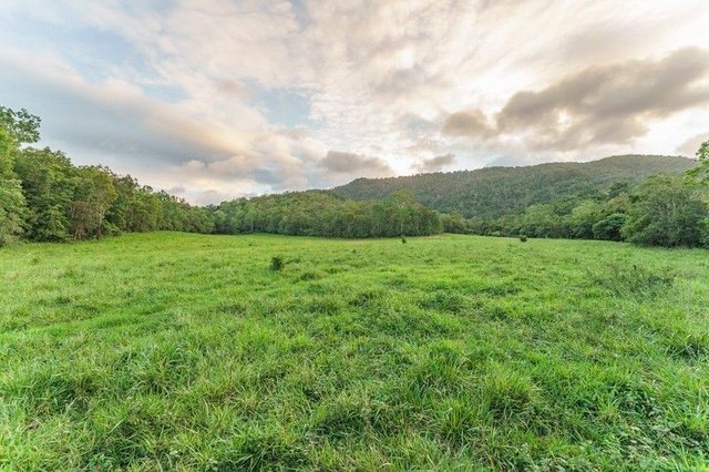 24 Petersen Road, QLD 4738