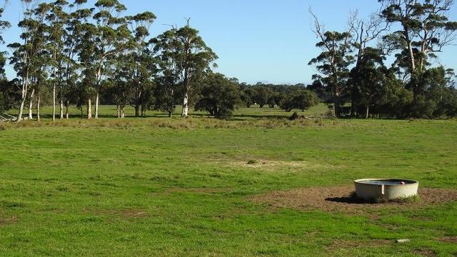 Calgardup Road, WA 6286