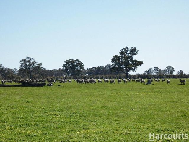 . Red Rock Road, VIC 3314