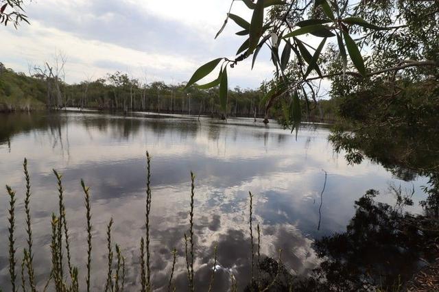 107 Petersens Road, QLD 4673