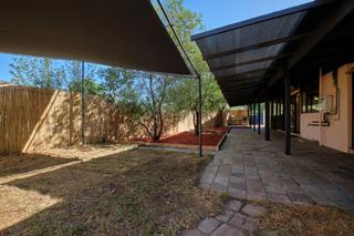 Back garden (2020-02-04)