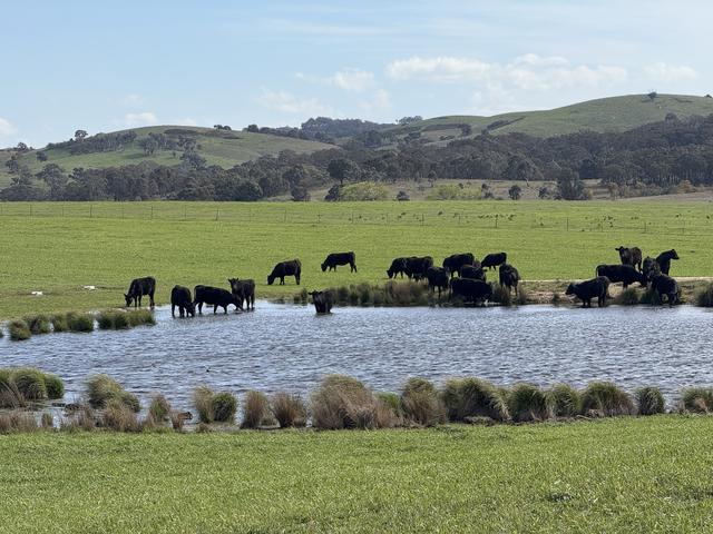569 & 640 Blakney Creek North Road, NSW 2581