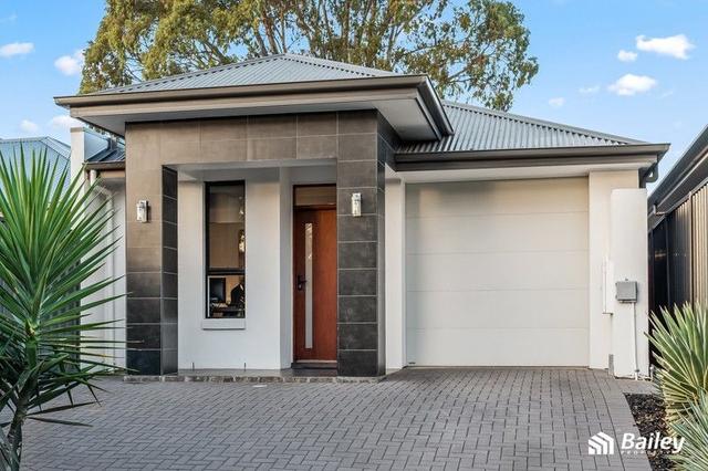19 Shepherd  Street, SA 5097