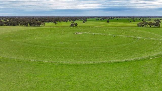 "Gum Park" 500 Rochow Wrays Road, SA 5262