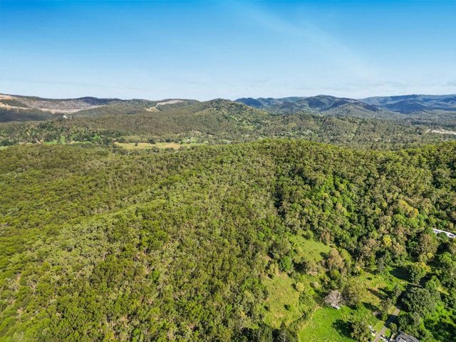 169 Dunns Road, QLD 4207