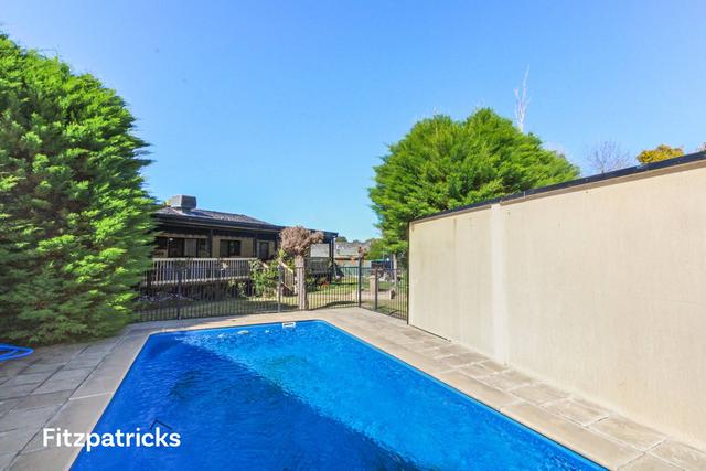 7 Ellimo Place, NSW 2650