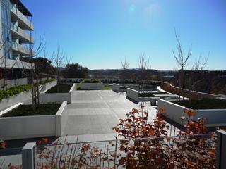 Rooftop grounds (2015-06-12)