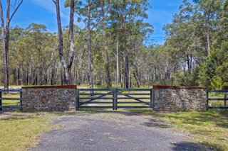 Standard Photo