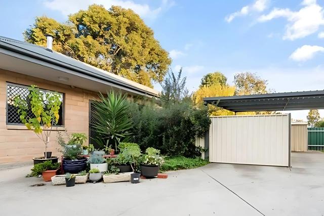 206B Olive Street, NSW 2640