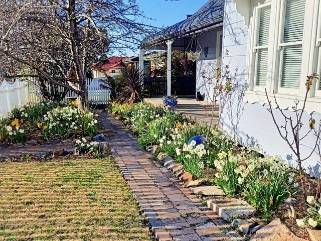 12 John Street, NSW 2358