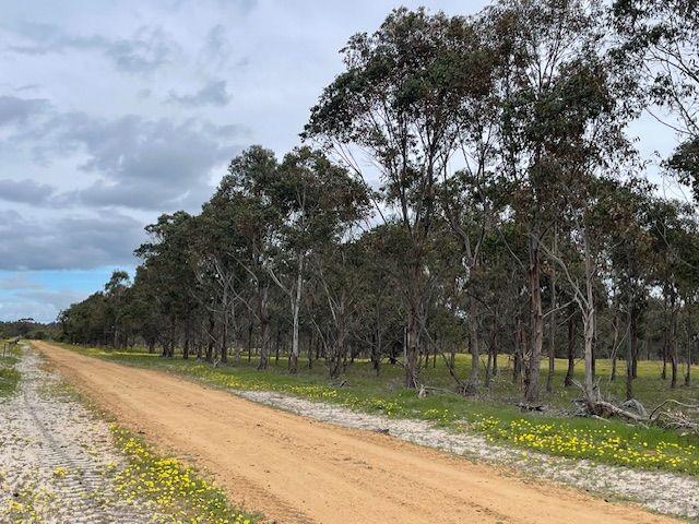 Martup Downs, Leggoe Road, WA 6394