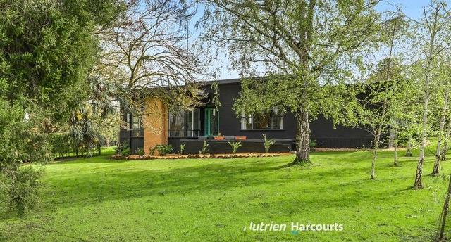 3 Couch Street, VIC 3268