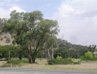 (2012-07-02)