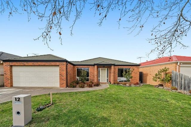 12 Hillview Court, VIC 3037