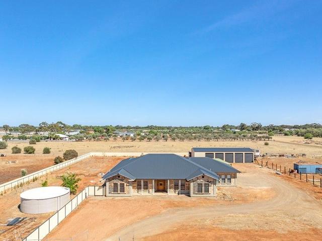 19 Griffiths Road, SA 5115