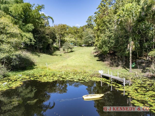 308 Lower Buckrabendinni Rd, NSW 2449