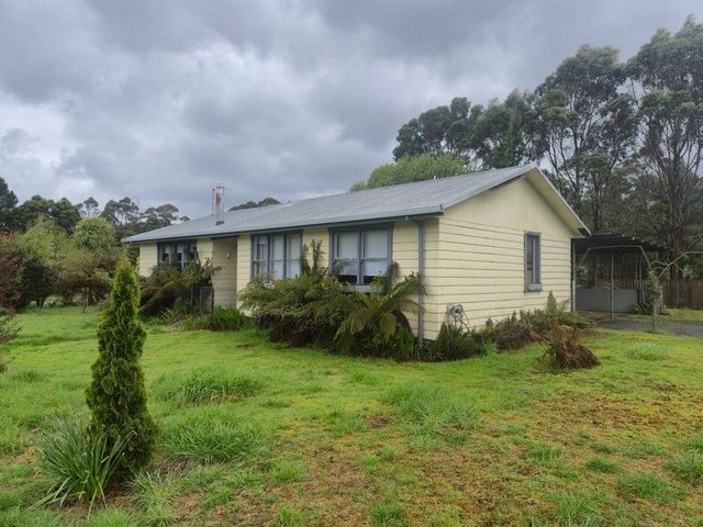 16 Adams Street, TAS 7469
