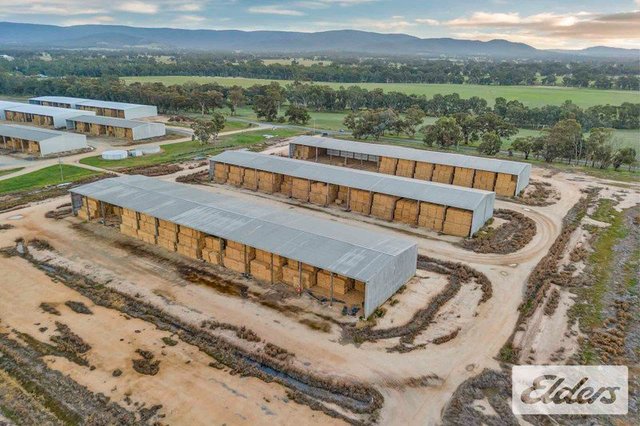 102 Avoca - Bealiba Road, VIC 3467