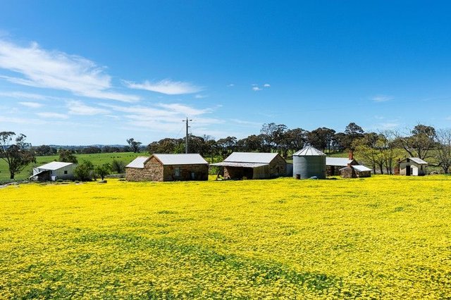 225 Nuggetty Road, VIC 3463