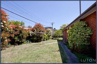Back Garden (2011-10-20)