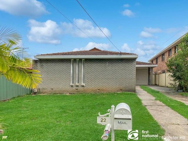 22 Joan Street, NSW 2162
