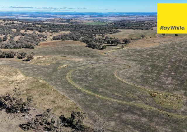 600 Blyths Lane, NSW 2360