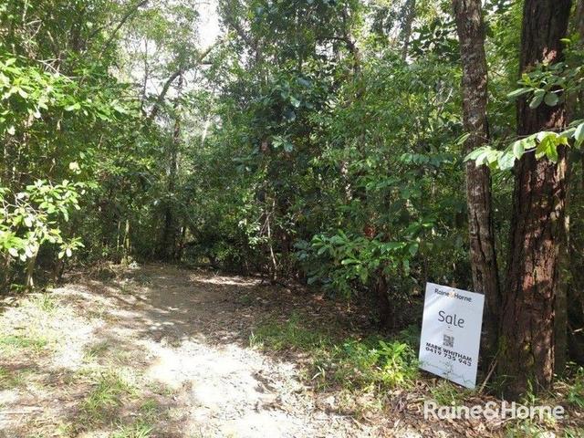 Lot 246 White Beech Road Cow Bay, QLD 4873