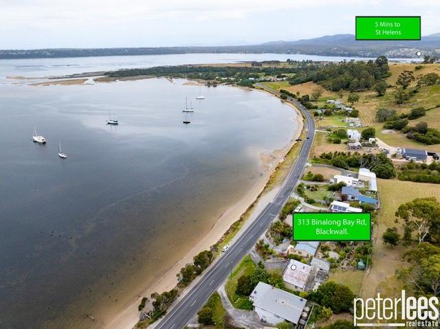 313 Binalong Bay Road, TAS 7216