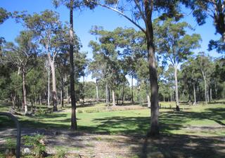 Land (2008-03-17)