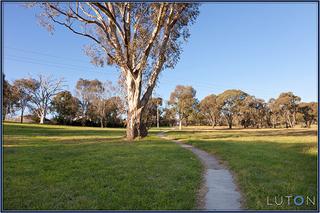 Mt Rogers Reserve