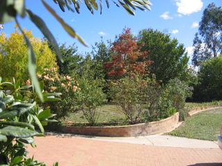 Autumn garden