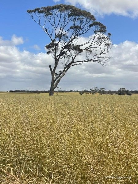 1700 Midlands Road, WA 6510