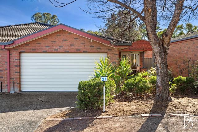37 Bywaters Street, ACT 2914