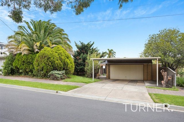 16 Treefern Avenue, SA 5073