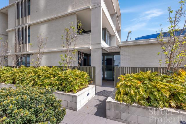 305/470 King Street, NSW 2302