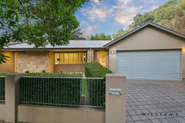 1A Douglas Street, SA 5034