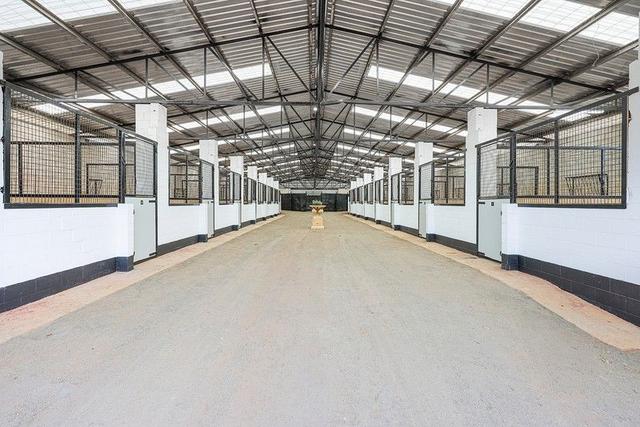 619 Bylong Valley Way, NSW 2333