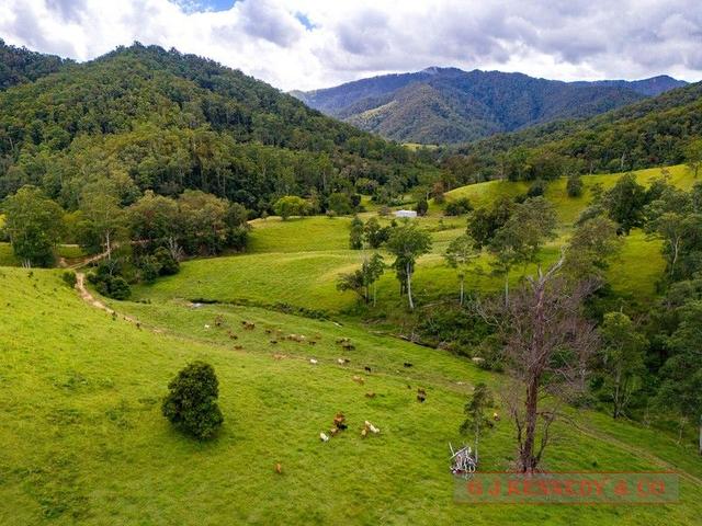 Lot 104/123 Thumb Creek Rd, NSW 2447