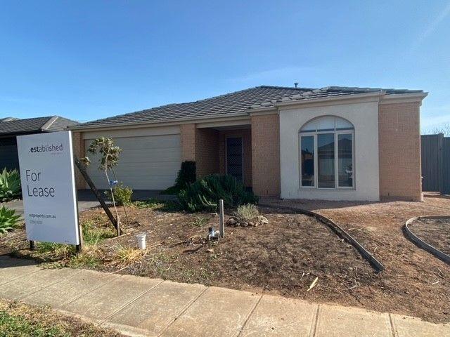 15 Marengo Street, VIC 3029