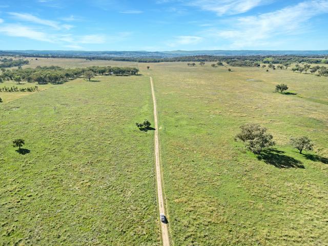 980 Ashford Road, NSW 2360