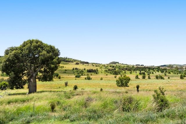 697 Bunya Mountains-MacLagan Road, QLD 4352