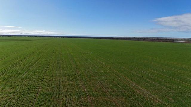 697 Solomon Road, WA 6620