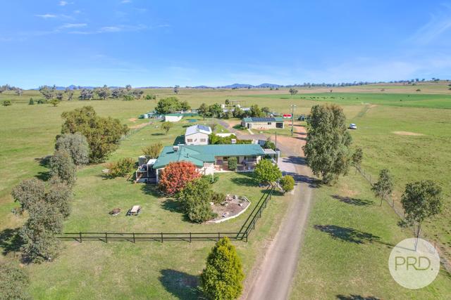 42 Jenners Lane, NSW 2340